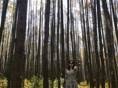 -山王坪喀斯特国家生态公园