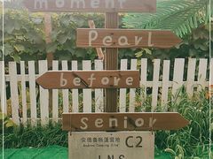 -安德鲁户外烧烤帐篷营地(马泉营店)