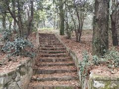 -武汉大学-樱园