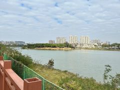 -立新湖公园