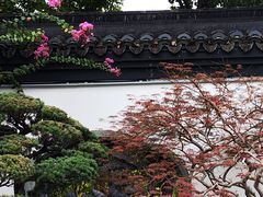 -武汉园博园(武汉自然博物馆)