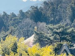 -潭柘寺景区