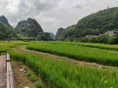 -高荡千年布依古寨旅游景区