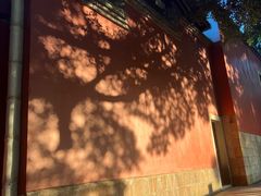 -乌山风景区