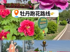-太阳宫公园