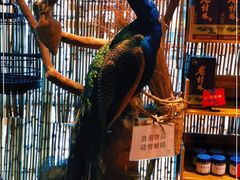 -桂小厨广西菜(万象城店)