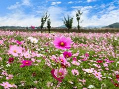 -天宫院风水文化景区