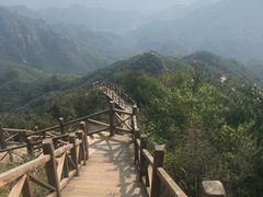 -大岭沟猕猴桃谷风景区