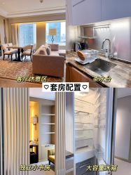 -巍阁高端月子会所