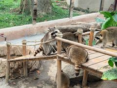 -呀诺达热带雨林
