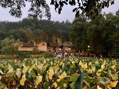 -韶山毛泽东同志故居