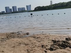 -暨阳湖生态园