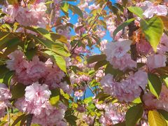 -羊亭河湿地公园