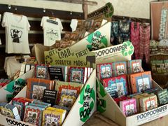 -大象粑粑造纸公园