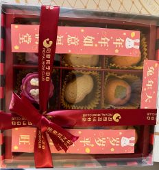 -皇家月府月子中心(沈阳店)