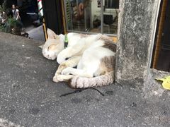 -红大哥水门鸡饭(總店)
