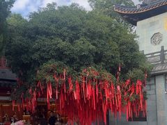 -东钱湖小普陀景区