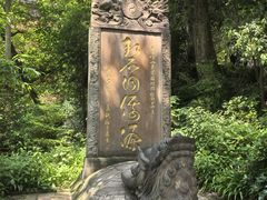 -青城山