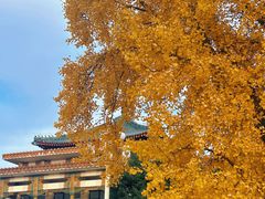 -中国农业博物馆