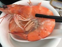 -蚝专家
