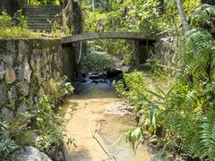 -海南热带雨林国家公园吊罗山景区