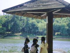 -象山森林公园