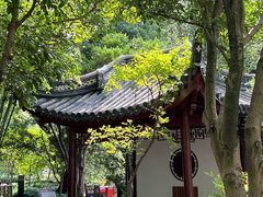 -汇龙潭
