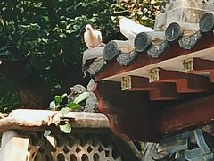 -广州市白云山风景名胜区