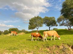 -库伦旗银沙湾旅游景区