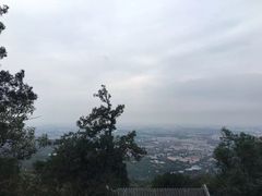 -八大处公园