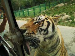 -西安秦岭野生动物园