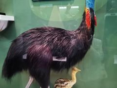 -国家自然博物馆