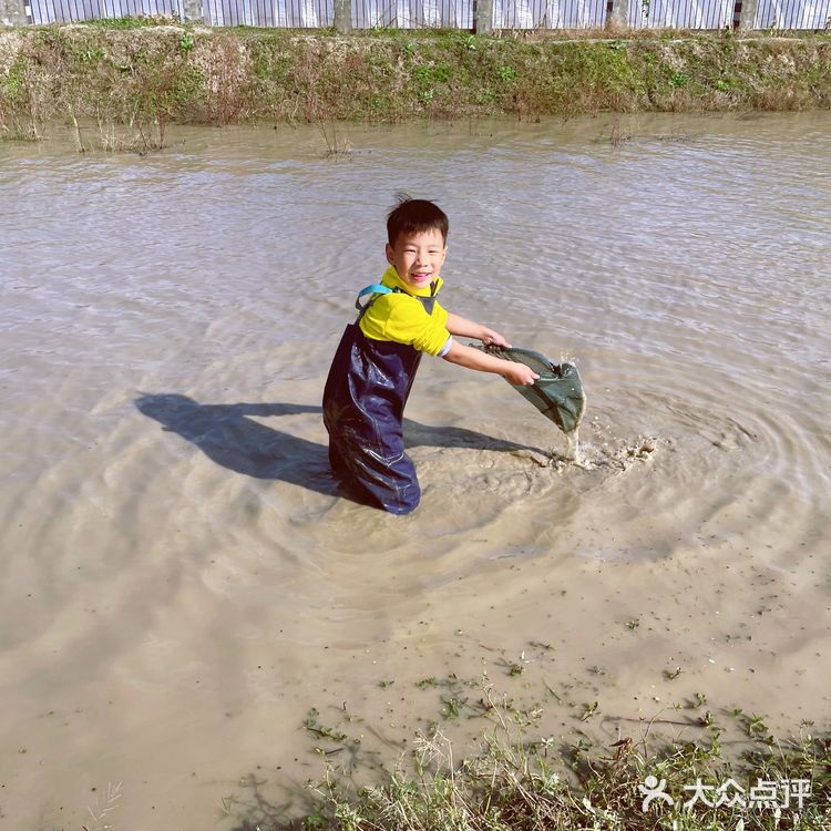 体验农家生活日常·龙余农场🐔🦆🥚🐟🥬