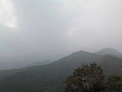 -北京鹫峰国家森林公园