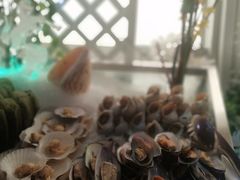 -339旋转餐厅(天府熊猫塔店)