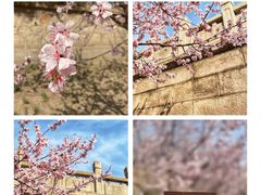 -元大都城垣遗址公园