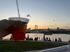-台场海滨公园船码头