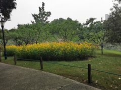-圩墩遗址公园