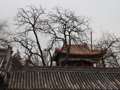 -北京国子监胡同