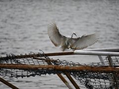 -珠江夜游天字码头