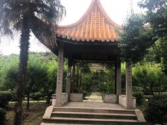 -雨花胜境