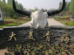 -武清南湖绿博园