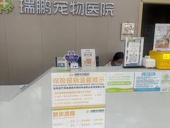 -瑞鹏宠物医院·骨外科·心肾科·肿瘤科(九亭店)