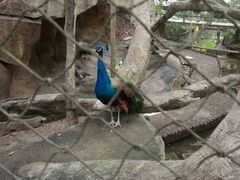 -青青世界