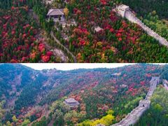 -龙口南山旅游景区