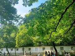 -西园戒幢律寺