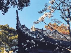-豫园
