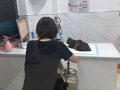 -萌兽医馆·宠物医院·猫骨科(创景店)