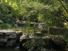 -习家池