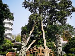 -国恩寺